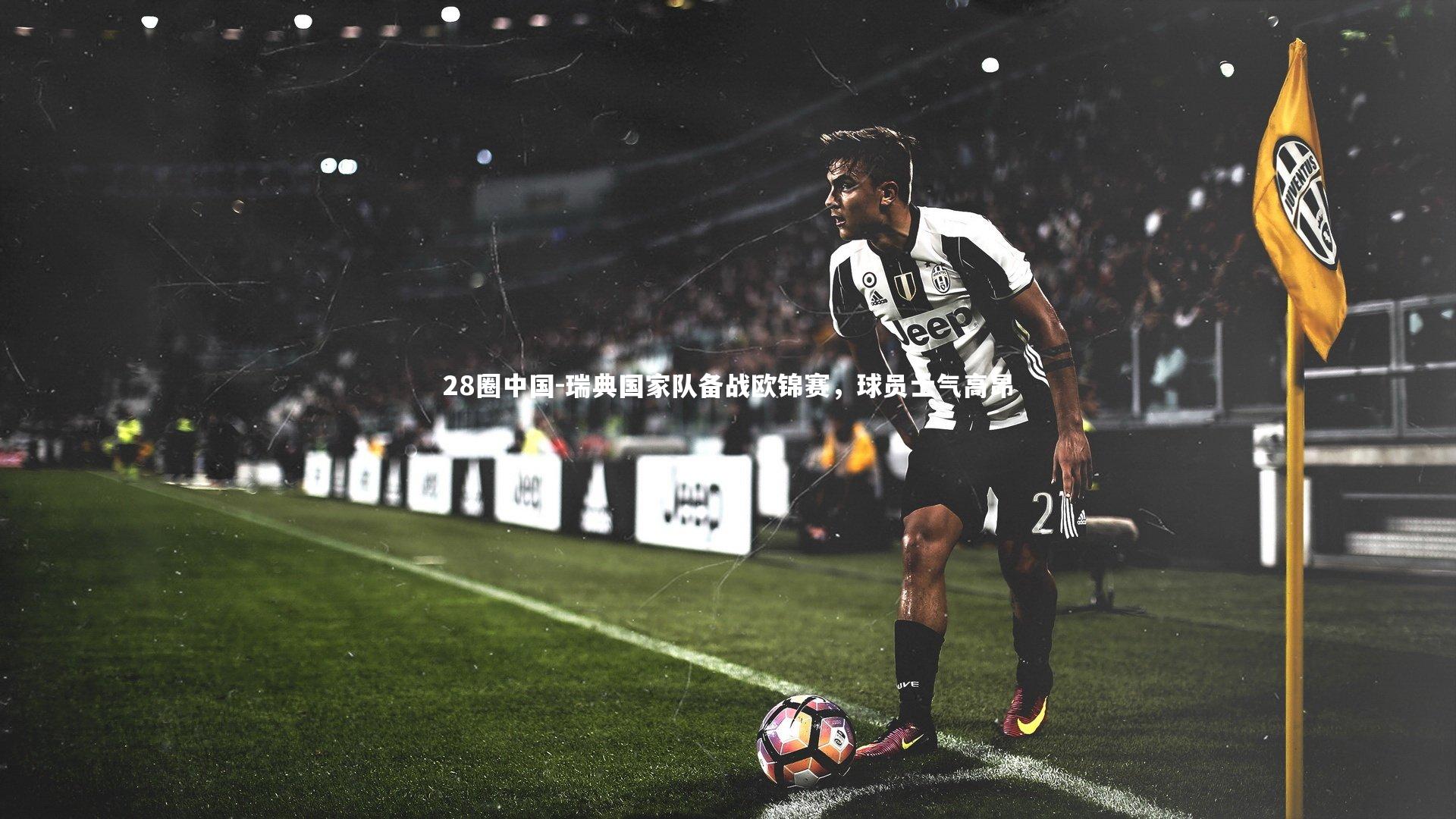 瑞典国家队备战欧锦赛，球员士气高昂