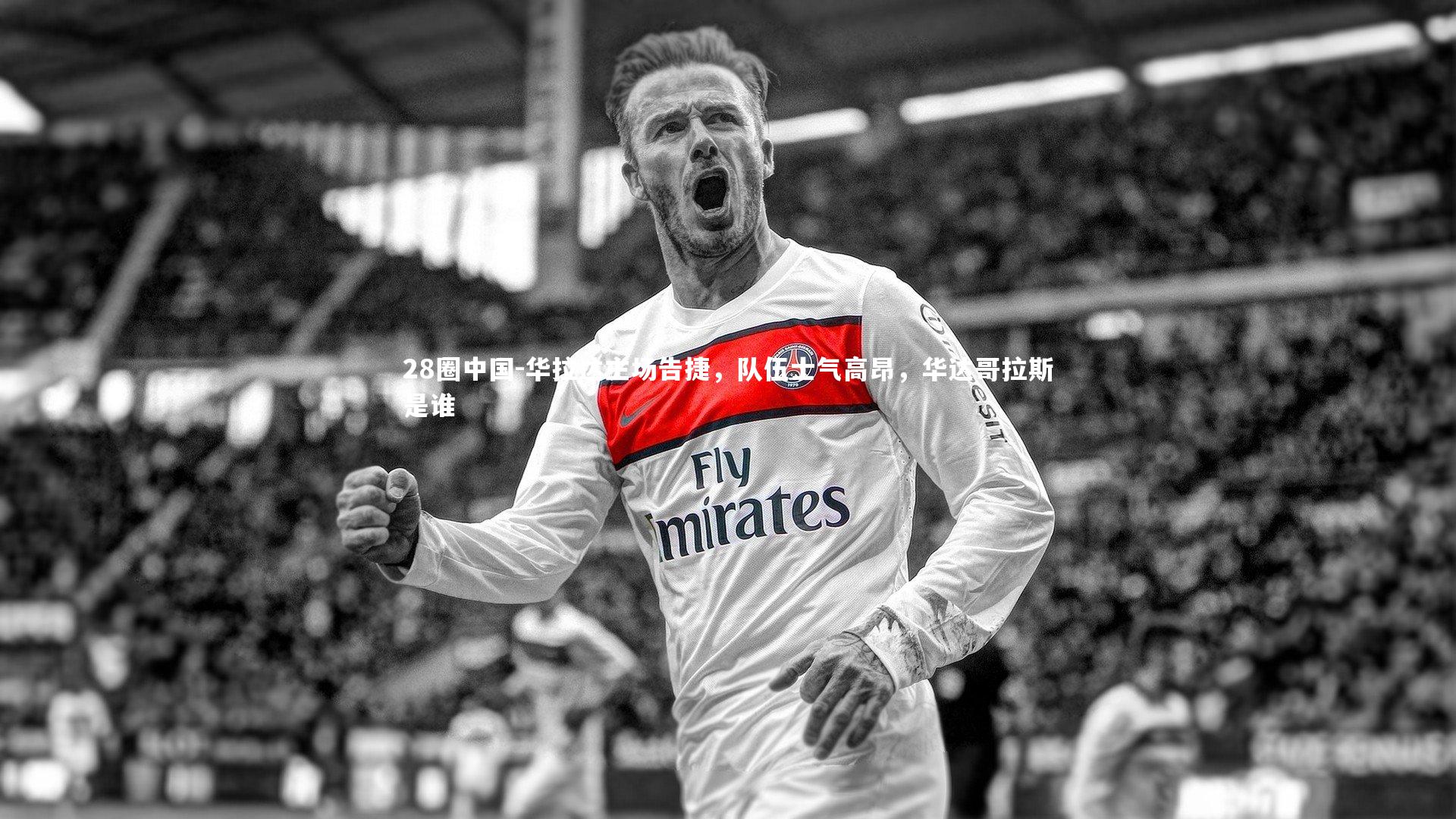 华拉达主场告捷，队伍士气高昂，华达哥拉斯是谁